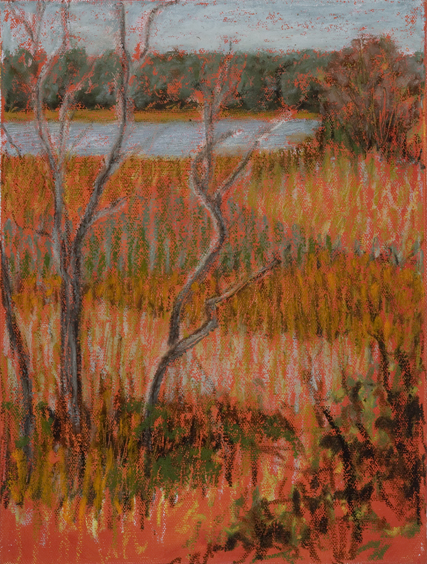 Grass Patterns, Falmouth Audubon Center, oil, 9 x 12″