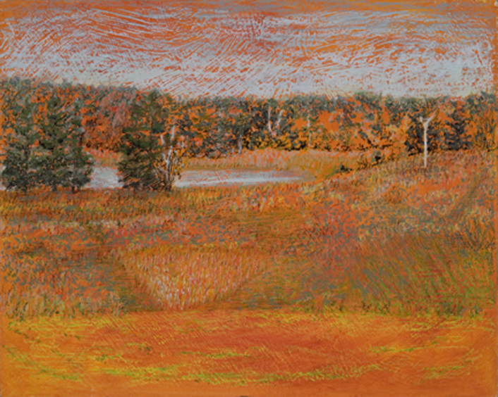 Just Mowed, Falmouth Audubon Center, oil, 24 x 30″