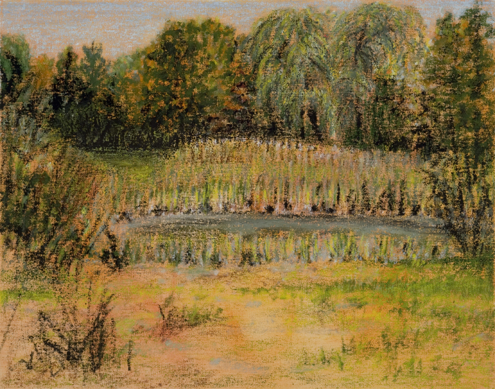 Pond Lineup, Falmouth Audubon Center, oil, 16 x 20″