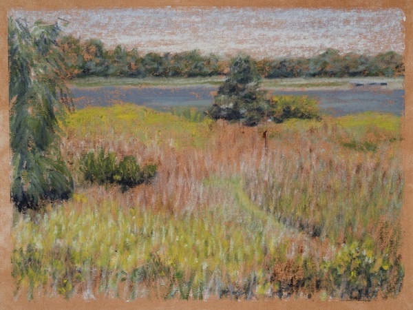 Full Bloom, Falmouth Audubon Center, oil, 11 x 16″