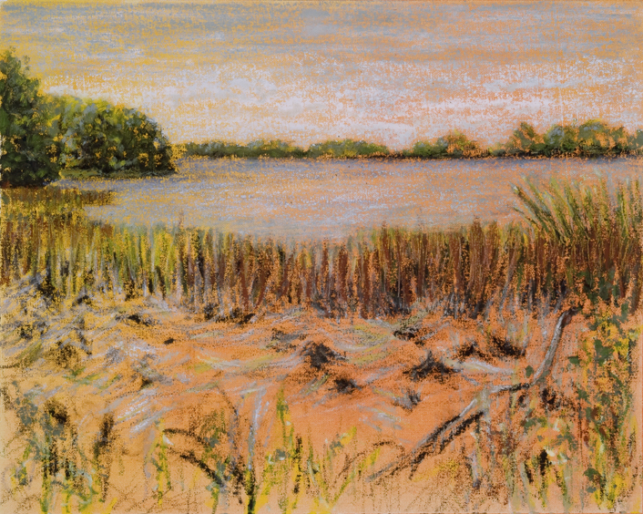 Marsh Coulicks, Falmouth Audubon Center, oil, 16 x 20″