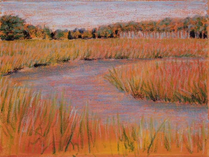October, Scarborough Audubon Center (Oil 12 x 16″) DSC_0015c
