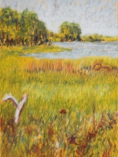 Delicate, Falmouth Audubon Center (Oil 18 x 24″) DSC_0037c