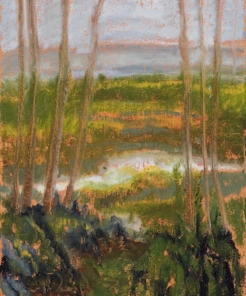 Kittery Point 12:00 Noon (Oil 16 x 20″) DSC_0042cccc