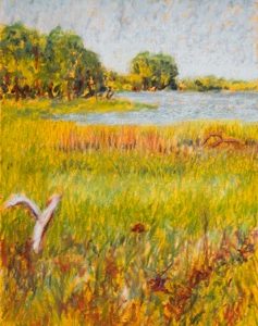 Delicate, Falmouth Audubon Center, oil, 18 x 24″